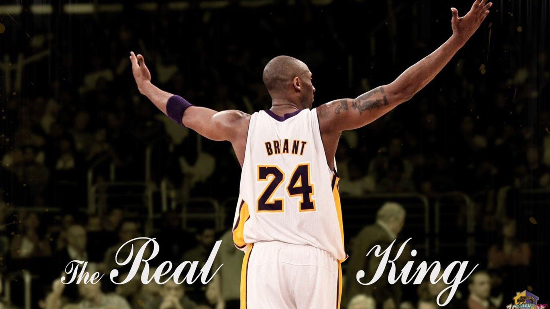 “金牛区城北体育馆：运动舞蹈带来激情与活力，赛场化身动感舞池！”