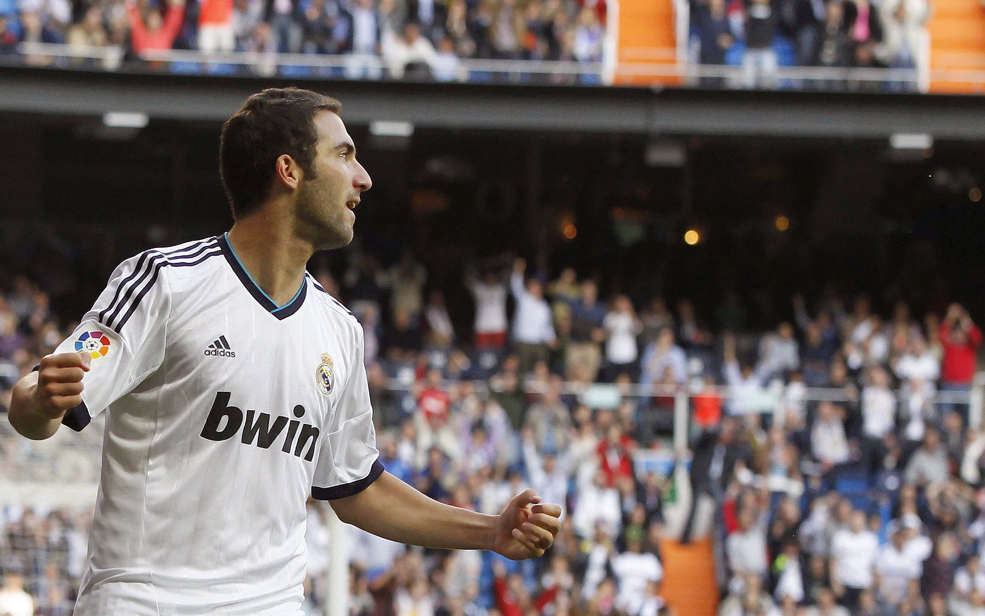 武术散打全国冠军赛打满五回合精彩激烈，散打武术比赛